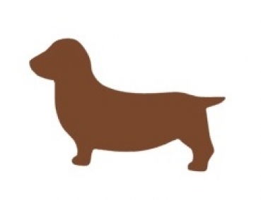 Dackel Bügelbild
