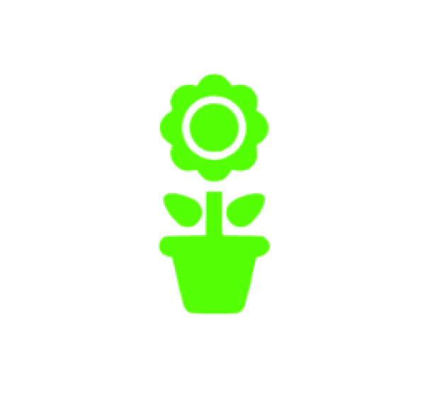 Topfblume Bügelbild